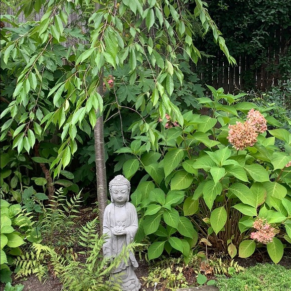 Meet your Posher, Amy - Picture 1 of 1